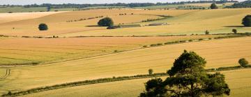 Ferieboliger i Chicklade