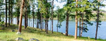 Vacation Rentals in Greenville