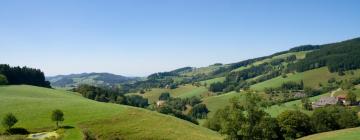 Guest Houses in Bad Wildungen