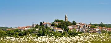 Hotels in Žminj