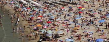 Beach rentals in Avşa Adası