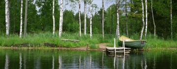 Pet-Friendly Hotels in Varkaus