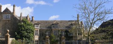 Cottages in Beaminster