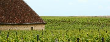 Hotéis em Savigny-lès-Beaune