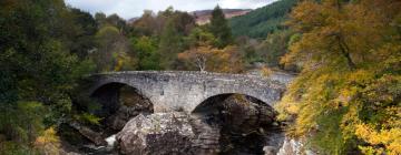 Holiday Rentals in Invermoriston