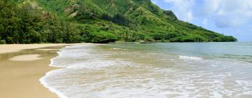 Holiday Rentals in Kahana