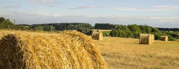 Помешкання для відпустки у місті Saint-Jean-de-la-Motte