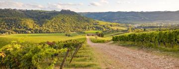 Agriturismi a San Casciano in Val di Pesa