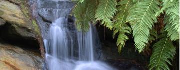 Cabins in Leura