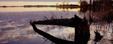 Hoteles familiares en White Bear Lake