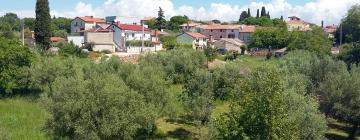 Apartments in Vabriga