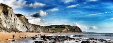 Hoteles que aceptan mascotas en Charmouth