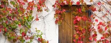 Country Houses in Kalavasos