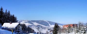 Hoteles con estacionamiento en Fichtelberg