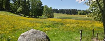 Ferienwohnungen in Schönau im Schwarzwald