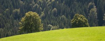 Apartments in Leutkirch im Allgäu