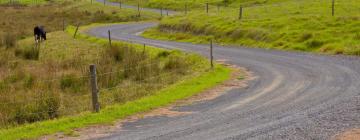 Hôtels à Pukekohe East