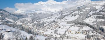 Penzióny v destinácii Mühlbach am Hochkönig