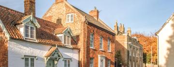 Cottages in Wymondham