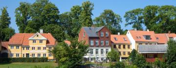 Hoteles que admiten mascotas en Nyborg