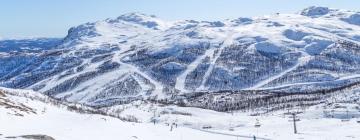 Cabañas en Hemsedal