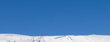 Cottages in Trysil