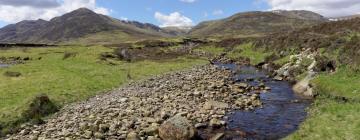 Guest Houses in Newtonmore