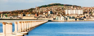 Pet-Friendly Hotels in Dundee
