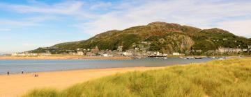 Pet-Friendly Hotels in Barmouth