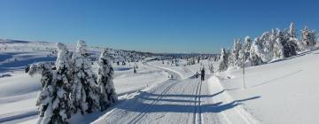 Hoteller med parkering i Nordseter