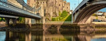 Things to do in Conwy