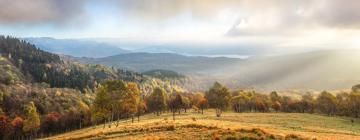 Hoteli u gradu Armeno