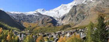 Hôtels à Saas-Fee