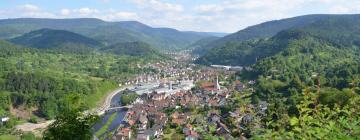 Hotels in Bad Wildbad