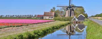 Hoteles con estacionamiento en Sint Maartensbrug