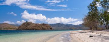 Beach Hotels in Gili Asahan