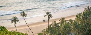 Hotels in Malvan