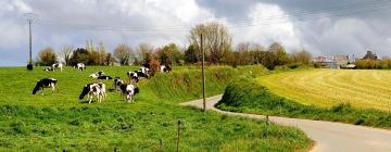 Cottages in Plounévez-Lochrist