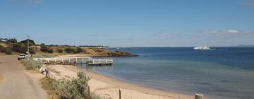 Hoteles que aceptan mascotas en Portarlington