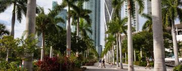 Cheap hotels in Miami