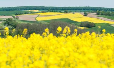 โรงแรมที่มีที่จอดรถในAngelbachtal