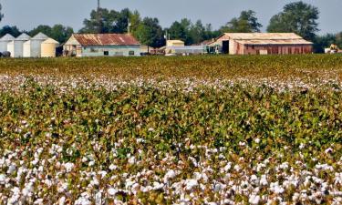 Hoteles que aceptan mascotas en Blytheville