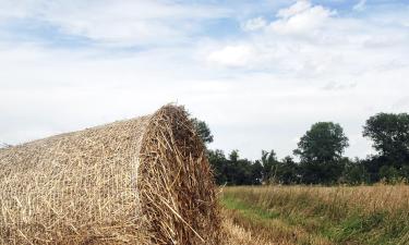 Hôtels pour les familles à Wolanów