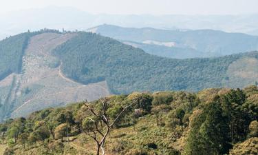 Vertshus i Monte Alegre do Sul