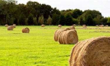 Obiekty na wynajem sezonowy w mieście Crosmières