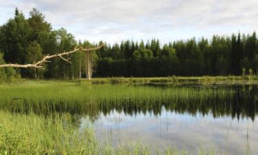 Готелі з парковкою у місті Gullor