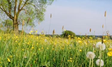 Hotels with Parking in Hunderdorf