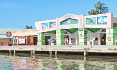 Hoteles en Ciudad de Belice