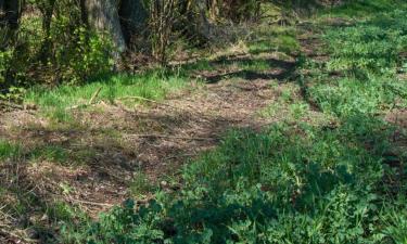 Hotels met Parkeren in Tappenbeck