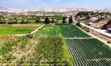 Hoteles en Jericho